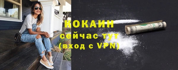 винт Богданович