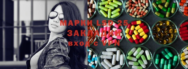 винт Богданович