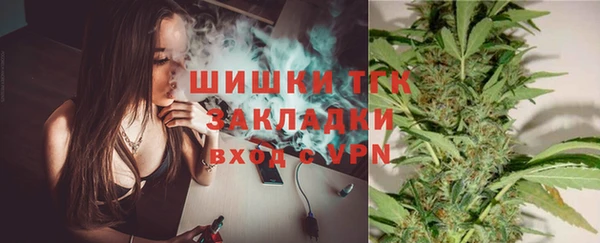 винт Богданович
