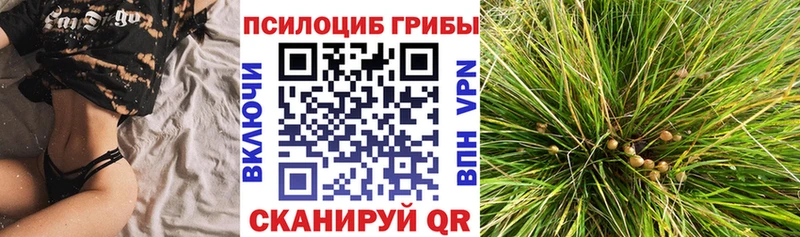наркошоп  мега онион  Галлюциногенные грибы ЛСД  Воркута 